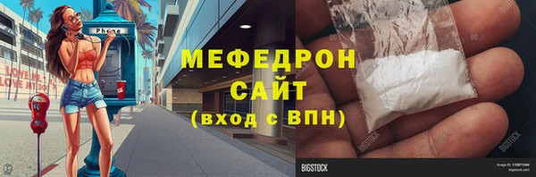 индика Дмитровск