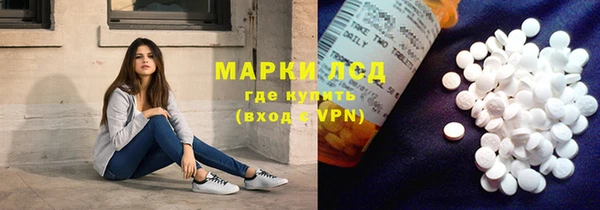 индика Дмитровск