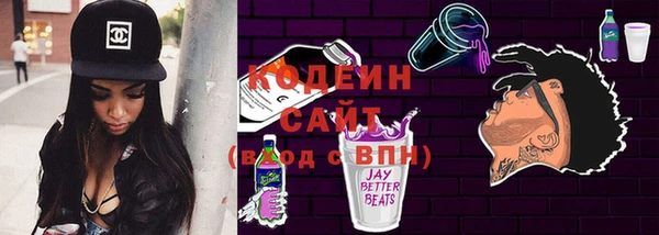 индика Дмитровск