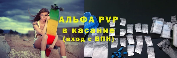 индика Дмитровск