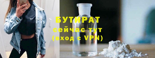 индика Дмитровск
