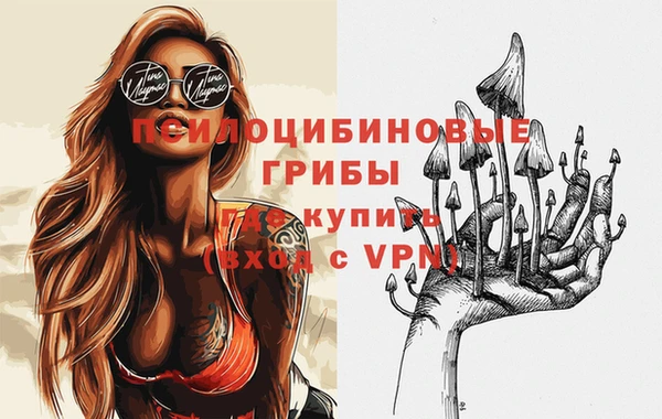 индика Дмитровск