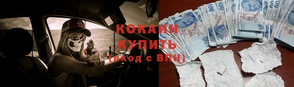 первитин Дмитриев