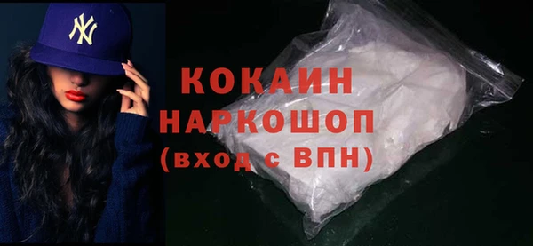 индика Дмитровск