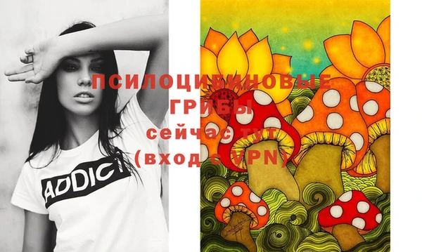 первитин Дмитриев