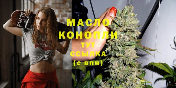 индика Дмитровск