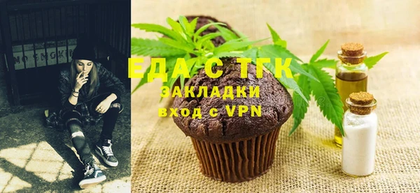 индика Дмитровск