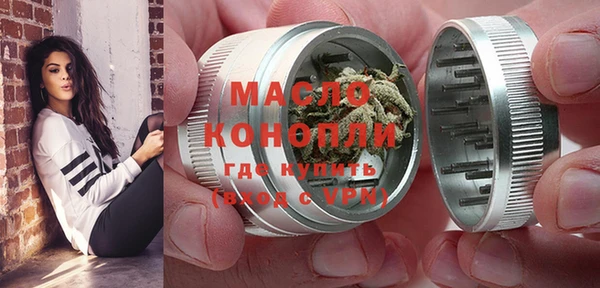 индика Дмитровск