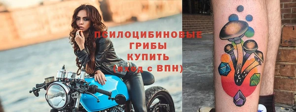 МДПВ Россошь