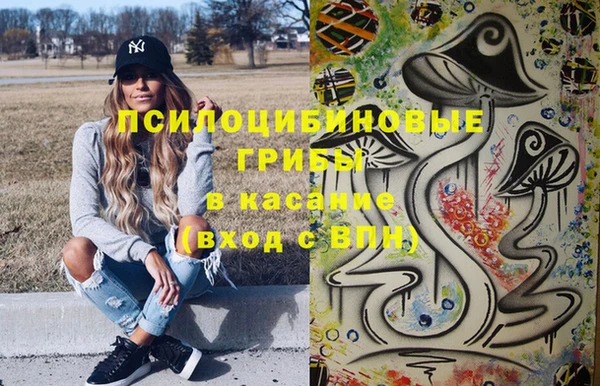 индика Дмитровск