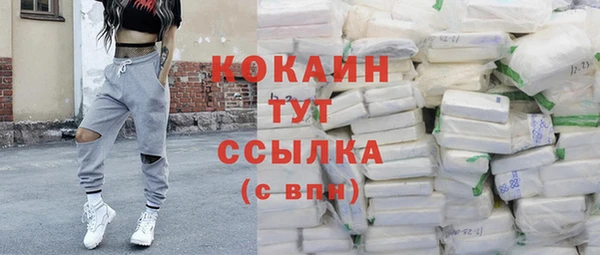 индика Дмитровск
