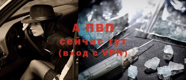 индика Дмитровск